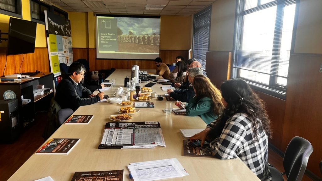 Los Lagos: Reactivan Comité Regional de Biocombustibles Sólidos 1 comite 2