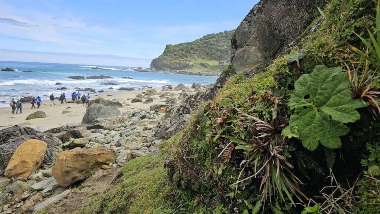 Manquemapu reúne a autoridades para delinear mantención de caminos ante el próximo invierno