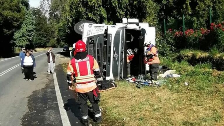 Camión volcó en la Ruta U-55 rumbo a Puerto Octay; conductor fue trasladado al hospital