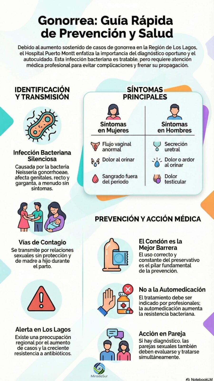 Qué es la gonorrea, cómo se transmite y por qué aumentan los casos en la Región de Los Lagos 1 infografias gonorrea