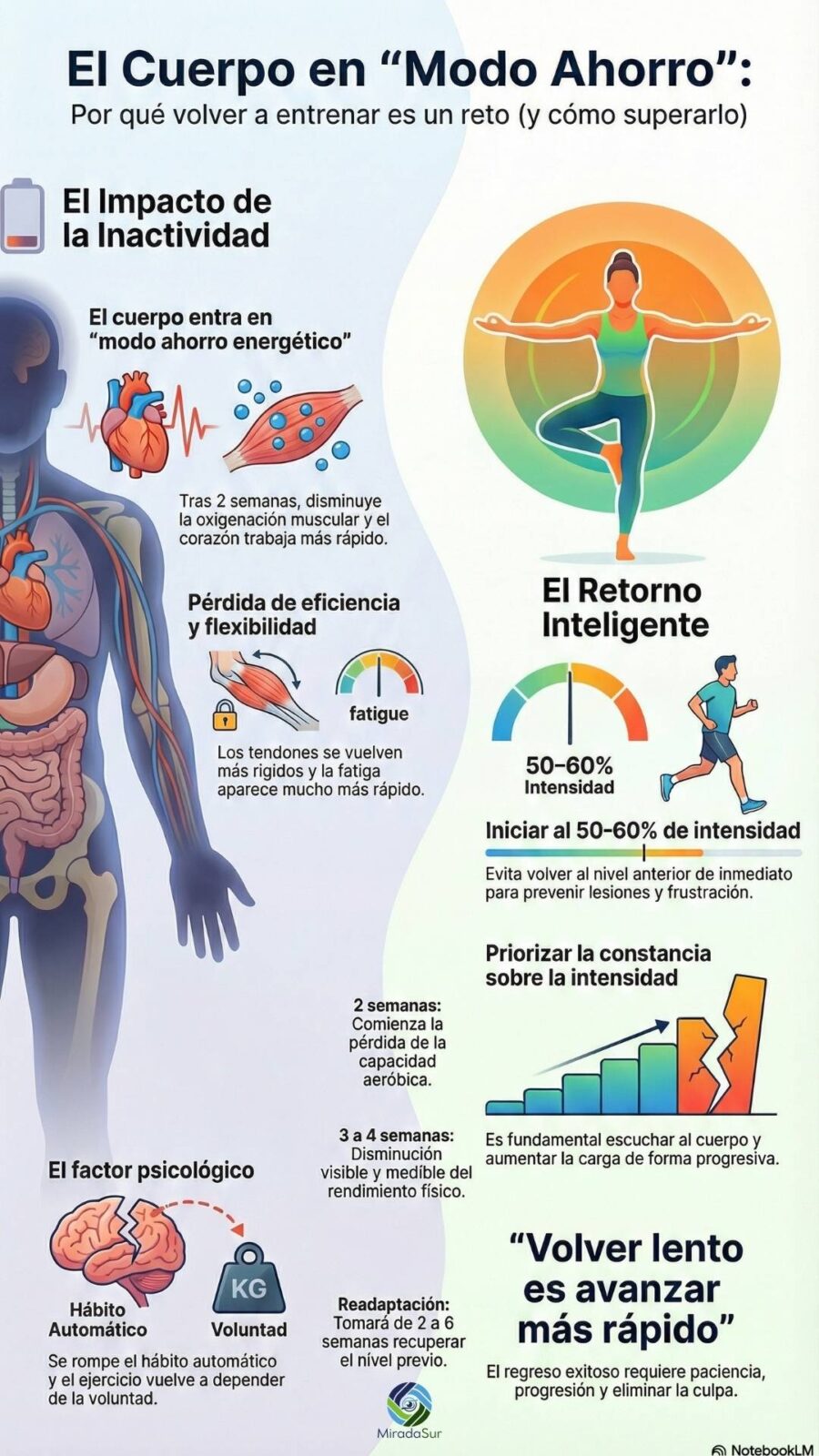 Por qué volver a entrenar después de las vacaciones se siente más difícil de lo que crees 1 infografias inactividad post vacaciones