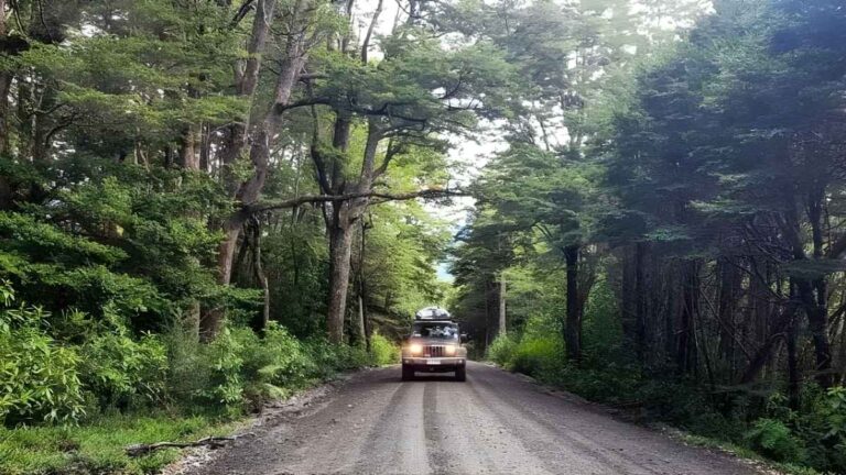 Core Los Lagos aprueba $6.383 millones para pavimentar Chaitén Sur