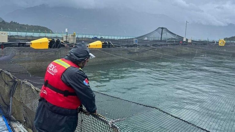Sernapesca activa protocolos por floración algal en Seno del Reloncaví