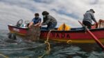 Sernapesca activa operativo para evitar caducidades en el Registro Artesanal 1 Gobierno inicia Cupon Pesca Artesanal con 100 mil mensuales en combustible