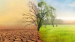 Encuesta global: 75% ve el cambio climático como amenaza grave 1 75 ve el cambio climatico como amenaza grave