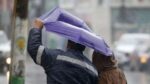 Avisan vientos de hasta 70 km/h en Chiloé este viernes 1 Avisan vientos de hasta 70 k en Chiloe este viernes