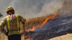 Estudio confirma que incendios forestales disparan el ozono y la mortalidad 1 Estudio confirma que incendios forestales disparan el ozono y la mortalidad