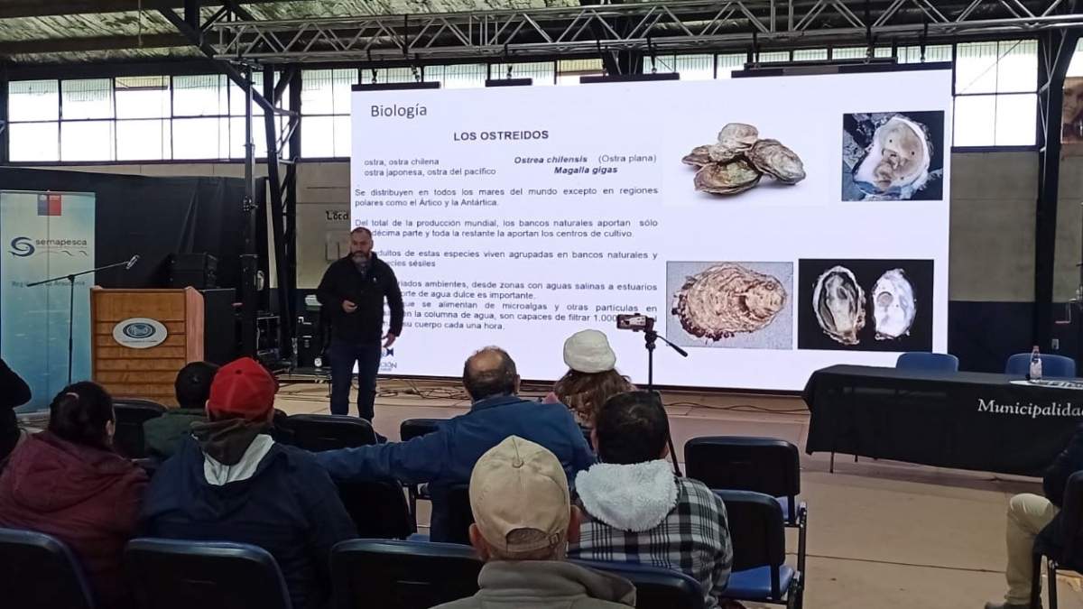 Fundación Chinquihue lleva el cultivo de ostra japonesa a pescadores artesanales de Carahue 5 Fundacion Chinquihue lleva el cultivo de ostra japonesa a pescadores artesanales de Carahue