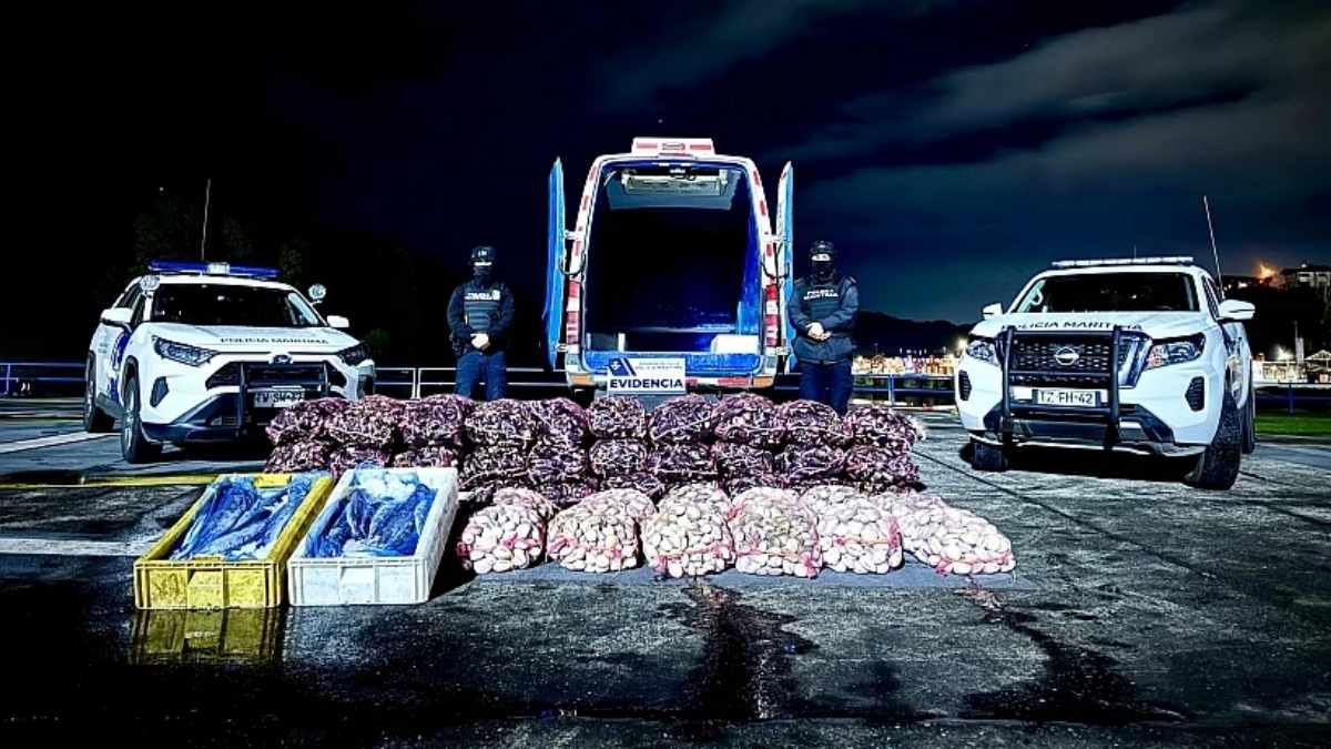 Incautan tres toneladas de mariscos y pescado sin origen acreditado en Angelmó 6 Incautan tres toneladas de mariscos y pescado sin origen acreditado en Angelmo