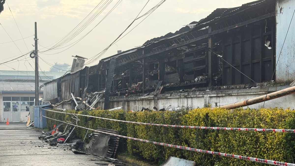 Incendio arrasa local y bodega de empresa Creo en Osorno 10 Incendio arrasa local y bodega de empresa Creo en Osorno
