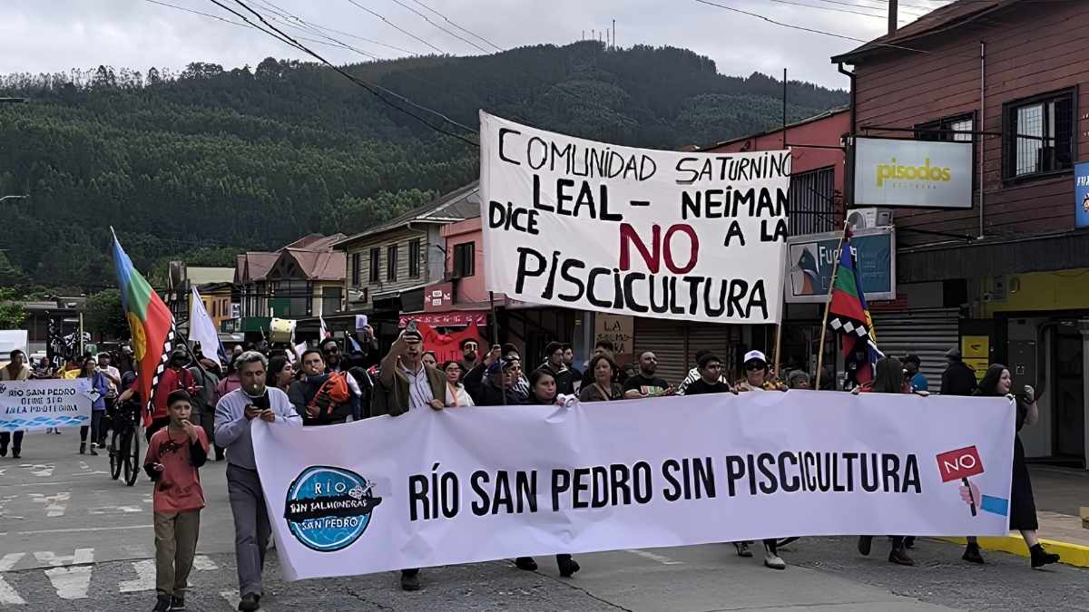 Movimiento y autoridades coordinan ofensiva para frenar piscicultura en río San Pedro 3 Movimiento y autoridades coordinan ofensiva para frenar piscicultura en rio San Pedro