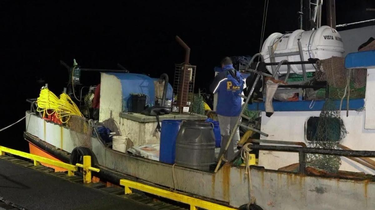 Muere buzo mariscador durante faena de extraccion de erizos en el Canal Pulluche