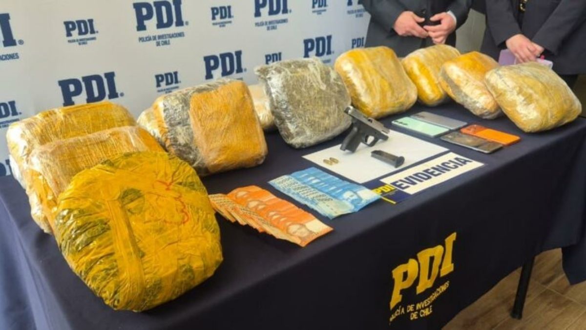 PDI incauta 145 kilos de cannabis y detiene a tres en Los Rios
