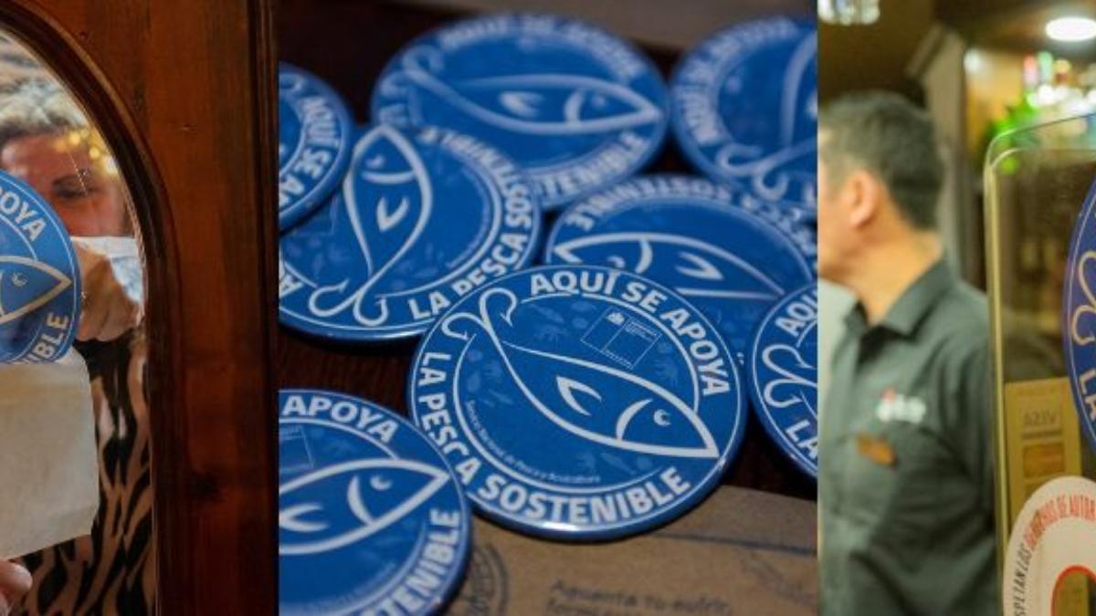 Sernapesca abre convocatoria del Sello Azul al cumplir 10 años 53 Sernapesca abre convocatoria del Sello Azul al cumplir 10 anos