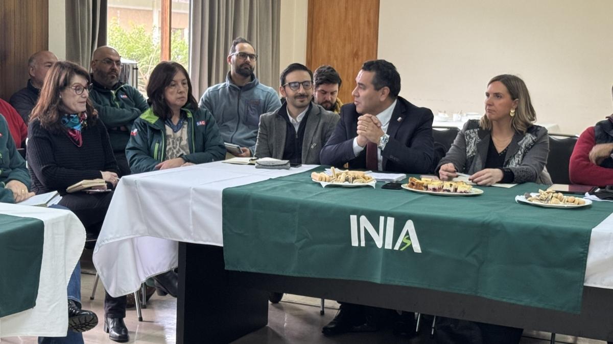 Agricultura reactiva Mesa Regional de la Papa en INIA Remehue 3 Agricultura reactiva Mesa Regional de la Papa en INIA Remehue