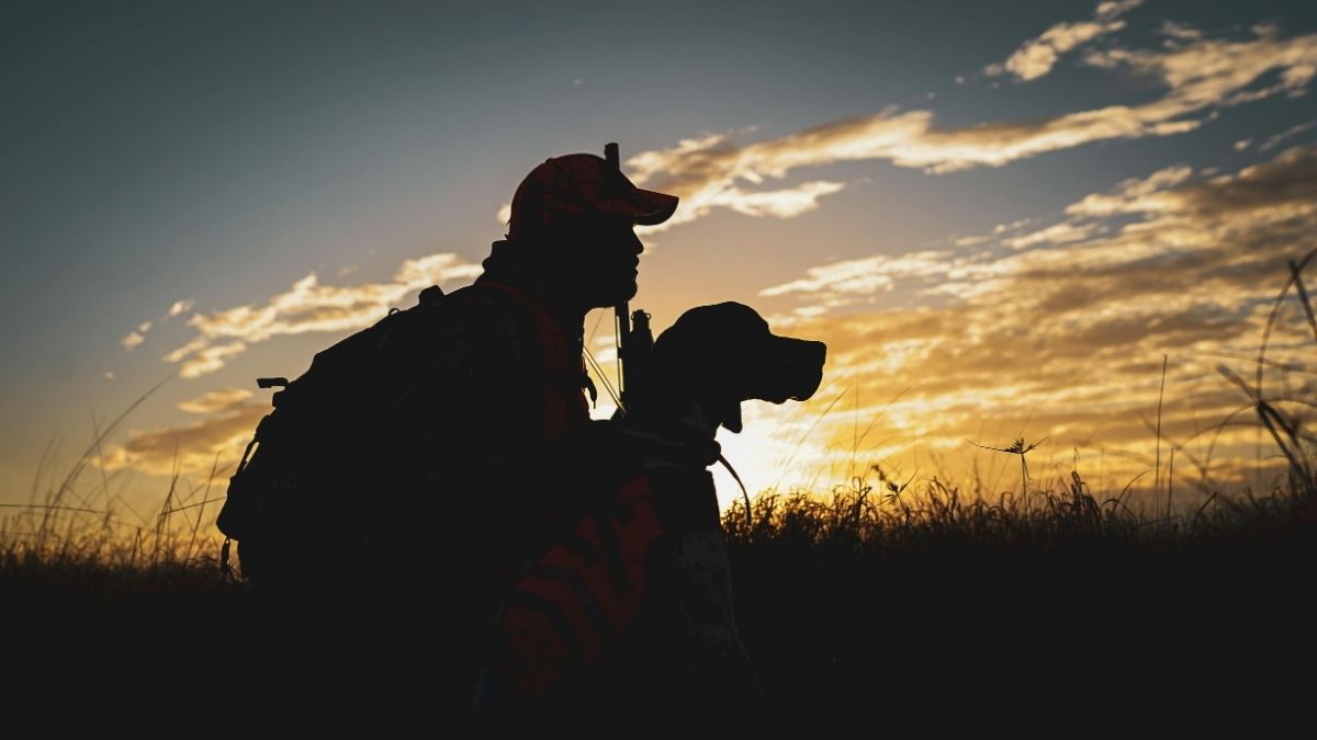 Agrollanquihue denuncia ingreso ilegal de cazadores con galgos en Llanquihue 6 Agrollanquihue denuncia ingreso ilegal de cazadores con galgos en Llanquihue