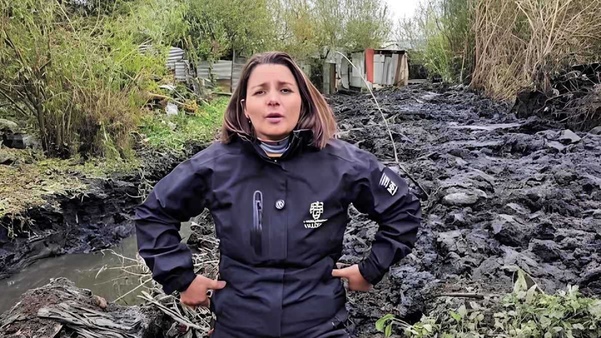 Amtmann acusa exclusión de Valdivia en Cogrid regional por temporales 9 Amtmann acusa exclusion de Valdivia en Cogrid regional por temporales