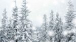 Aysén decreta Alerta Amarilla preventiva y refuerza despliegue por nevadas 1 Aysen decreta Alerta Amarilla preventiva y refuerza despliegue por nevadas