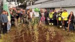 Biblioteca de Francke inaugura bosque Miyawaki y suma biodiversidad a Osorno 1 Biblioteca de Francke inaugura bosque Miyawaki y suma biodiversidad a Osorno