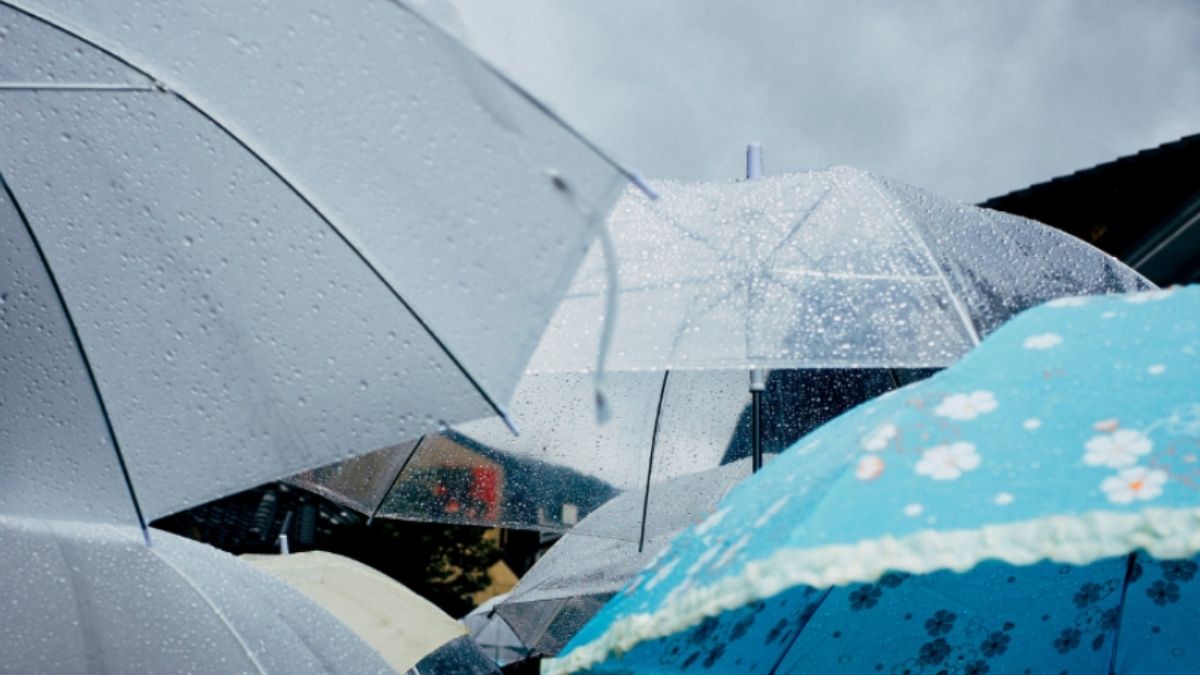 Cómo prepararse ante el temporal: las claves para evitar riesgos dentro y fuera del hogar 4 Como prepararse ante el temporal