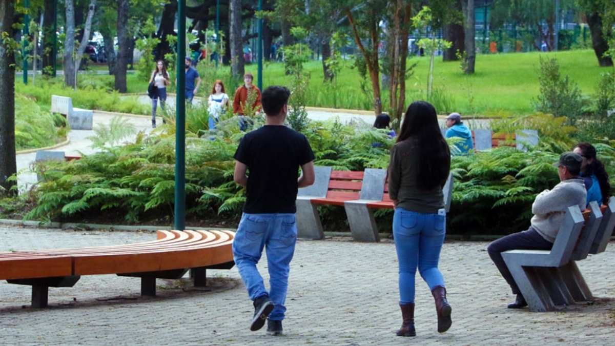 Concejo de Osorno rechaza licitación y municipio activa plan por áreas verdes 6 Concejo de Osorno rechaza licitacion y municipio activa plan por areas verdes