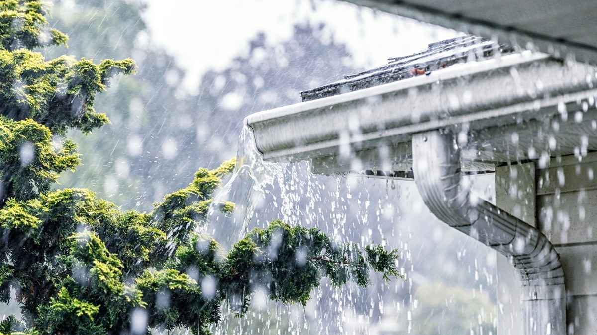 DMC actualiza aviso por tormentas eléctricas y viento entre Maule y Los Lagos 6 DMC actualiza aviso por tormentas electricas y viento entre Maule y Los Lagos