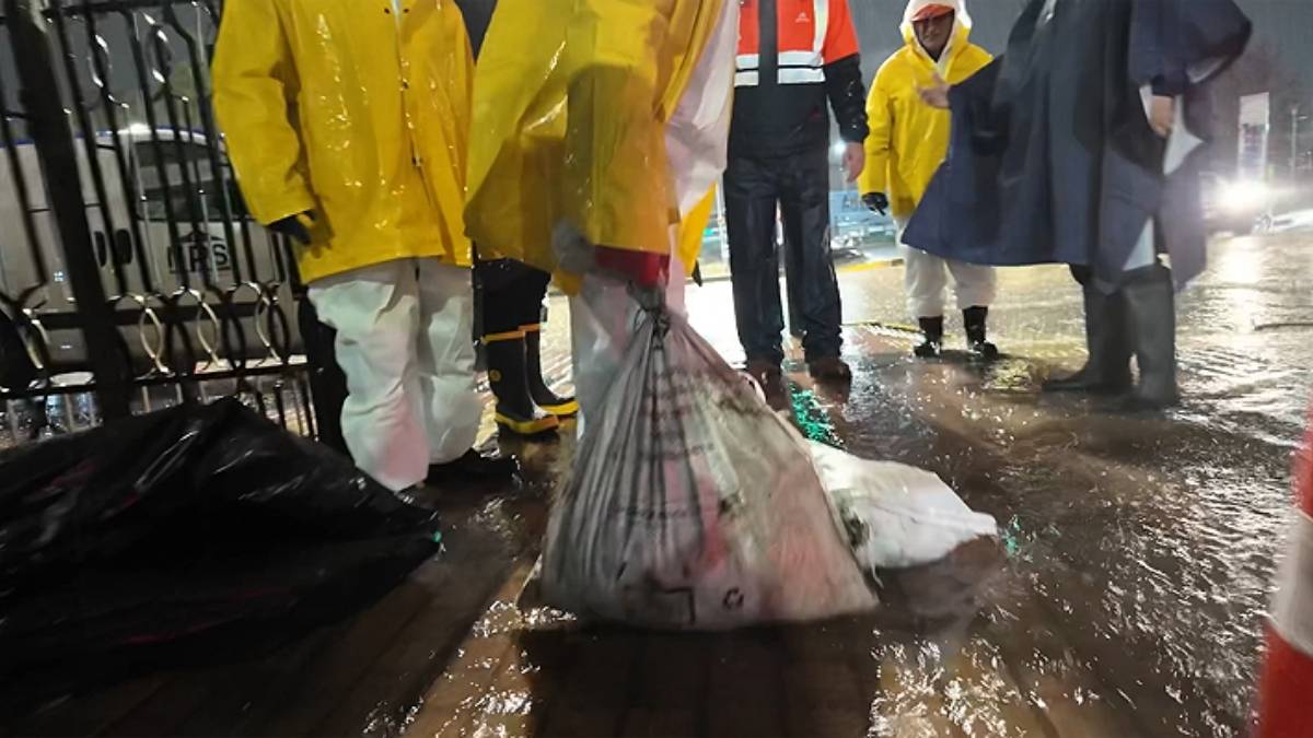 Hallan sacos con cabezas de caballo en el alcantarillado de Puente Alto durante el temporal 3 Hallan sacos con cabezas de caballo en el alcantarillado de Puente Alto durante el temporal
