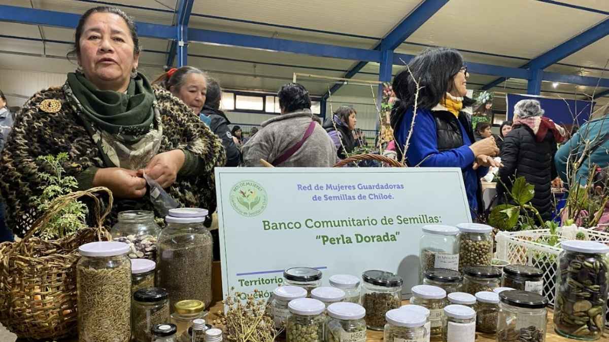 Más de 230 agricultores de Chiloé participan en el Trafkintu de Quellón 5 Mas de 230 agricultores de Chiloe participan en el Trafkintu de Quellon