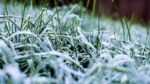 Osorno enfrentará heladas y luego varios días de lluvias 1 Osorno enfrentara heladas y luego varios dias de lluvias