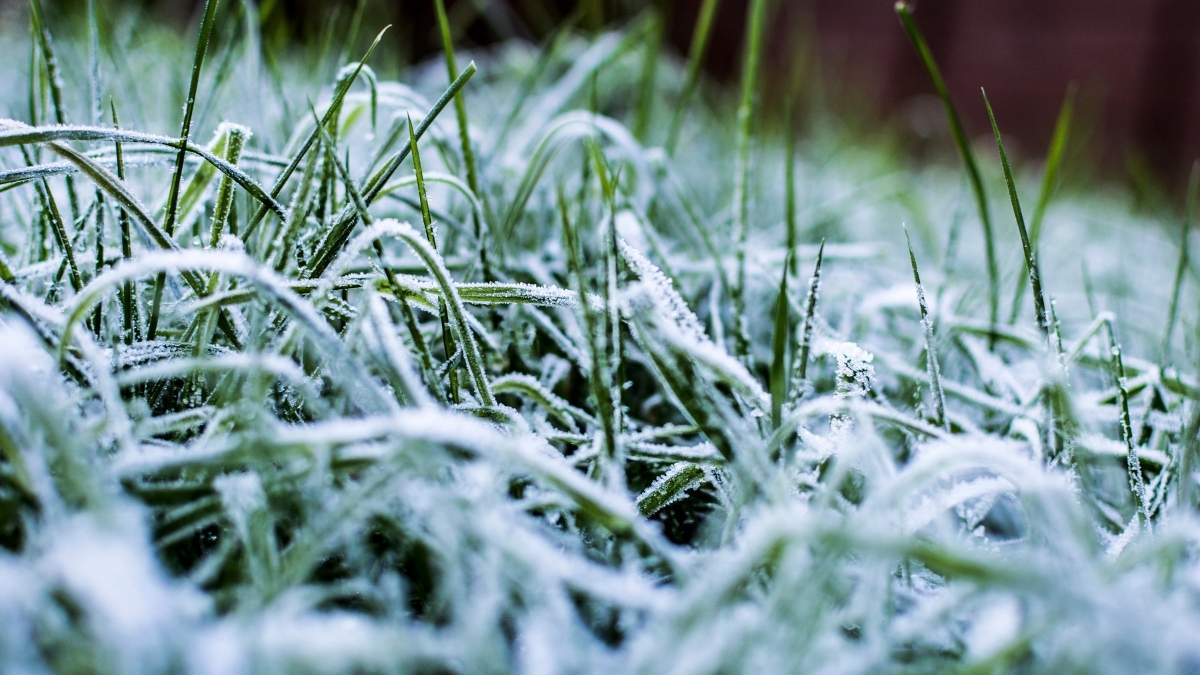 Osorno enfrentará heladas y luego varios días de lluvias 5 Osorno enfrentara heladas y luego varios dias de lluvias