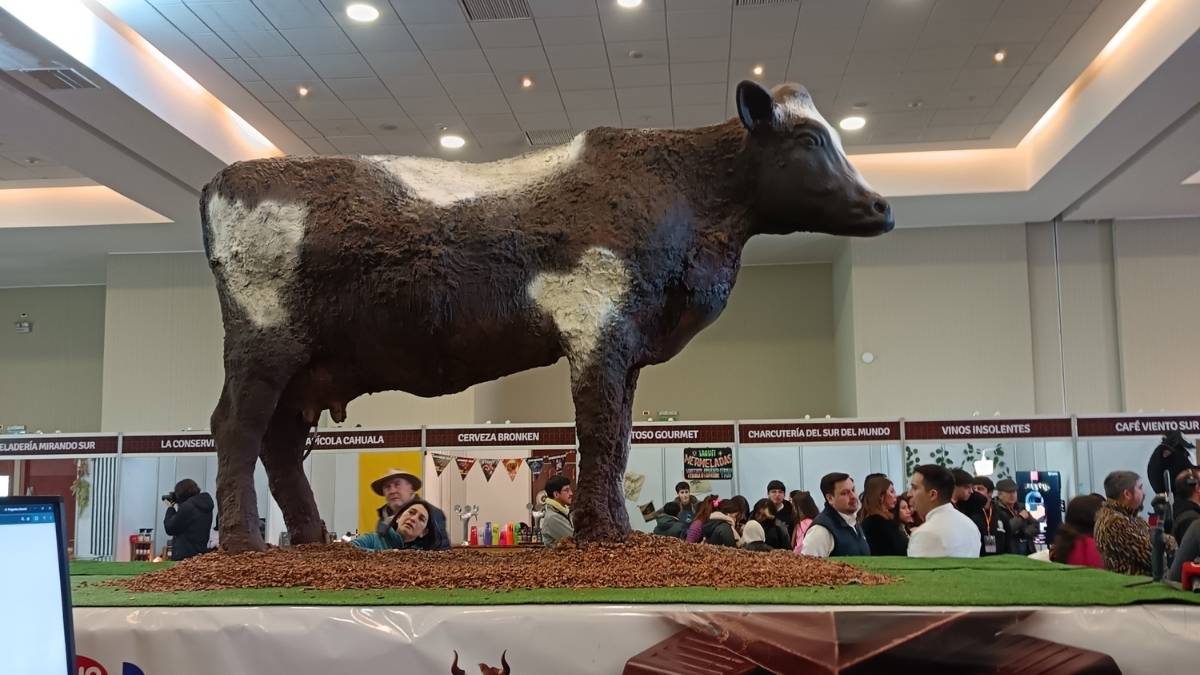 Osorno inaugura Festival del Chocolate con escultura de 600 kilos 4 Osorno inaugura Festival del Chocolate con escultura de 600 kilos