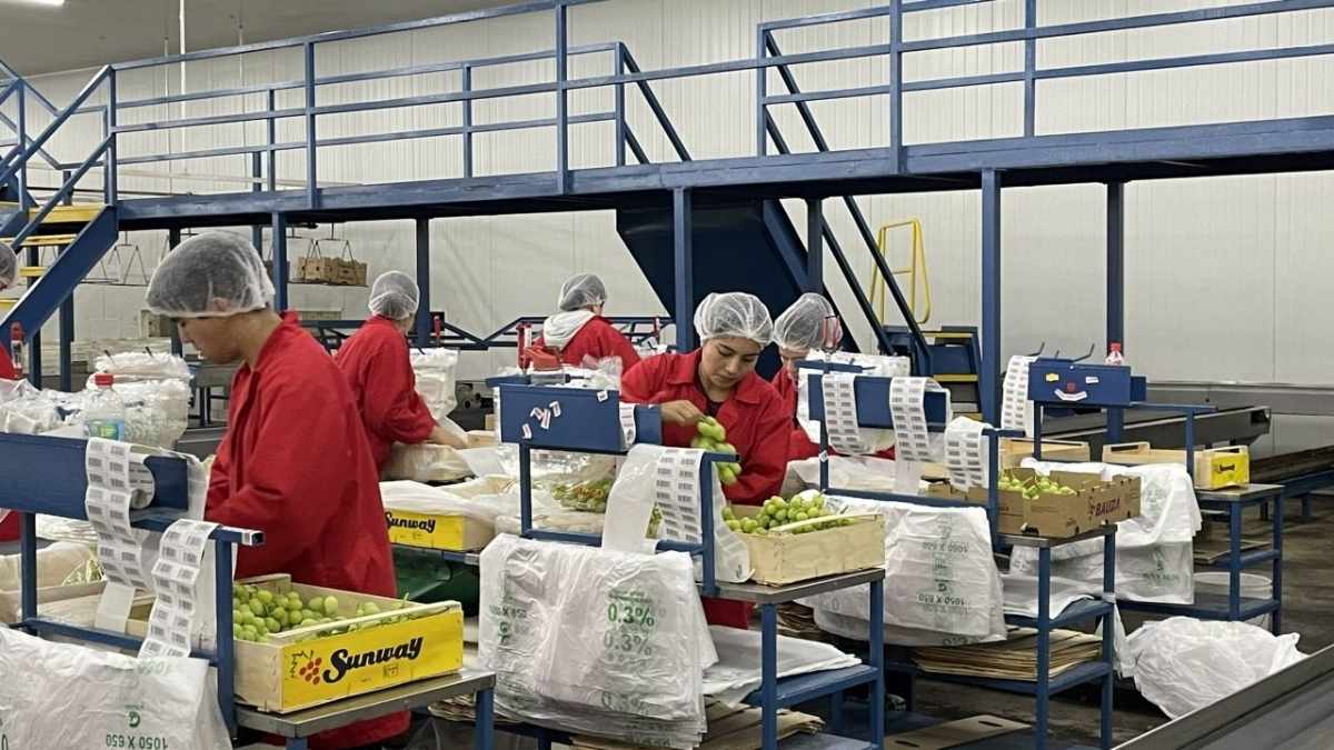 SENCE abre postulaciones al subsidio a la contratación 2026: montos y requisitos 7 SENCE abre postulaciones al subsidio a la contratacion 2026