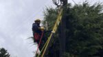 Seremi de Energía pide a eléctricas reforzar planes ante sistema frontal en Los Lagos 1 Seremi de Energia pide a electricas reforzar planes ante sistema frontal en Los Lagos