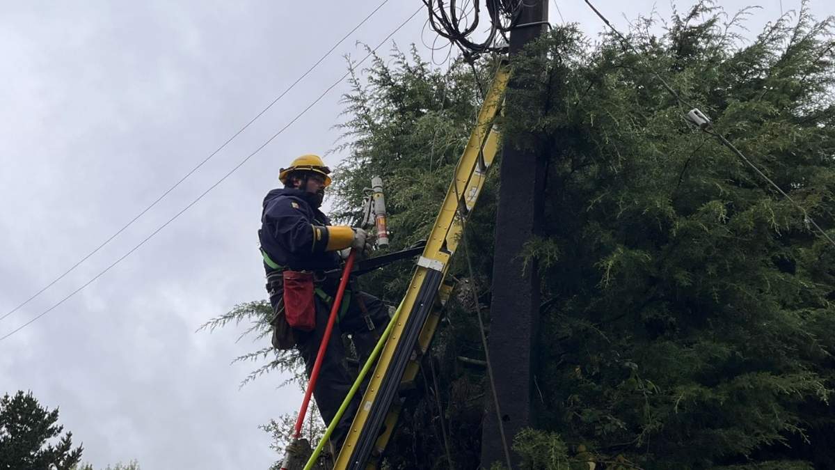 Seremi de Energía pide a eléctricas reforzar planes ante sistema frontal en Los Lagos 3 Seremi de Energia pide a electricas reforzar planes ante sistema frontal en Los Lagos