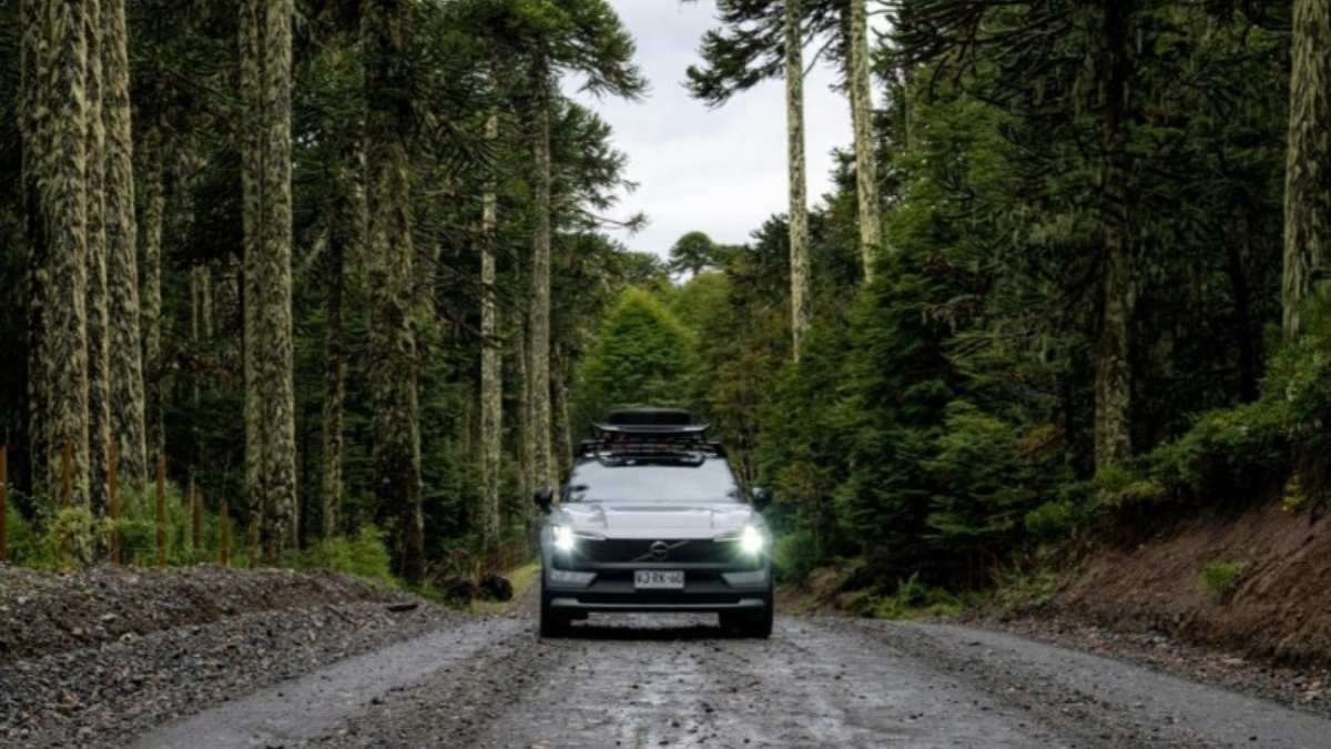Un fotógrafo cruza reservas naturales del sur de Chile en SUV eléctrico y se topa con pumas y huemules 6 Un fotografo cruza reservas naturales del sur de Chile en SUV electrico y se topa con pumas y huemules
