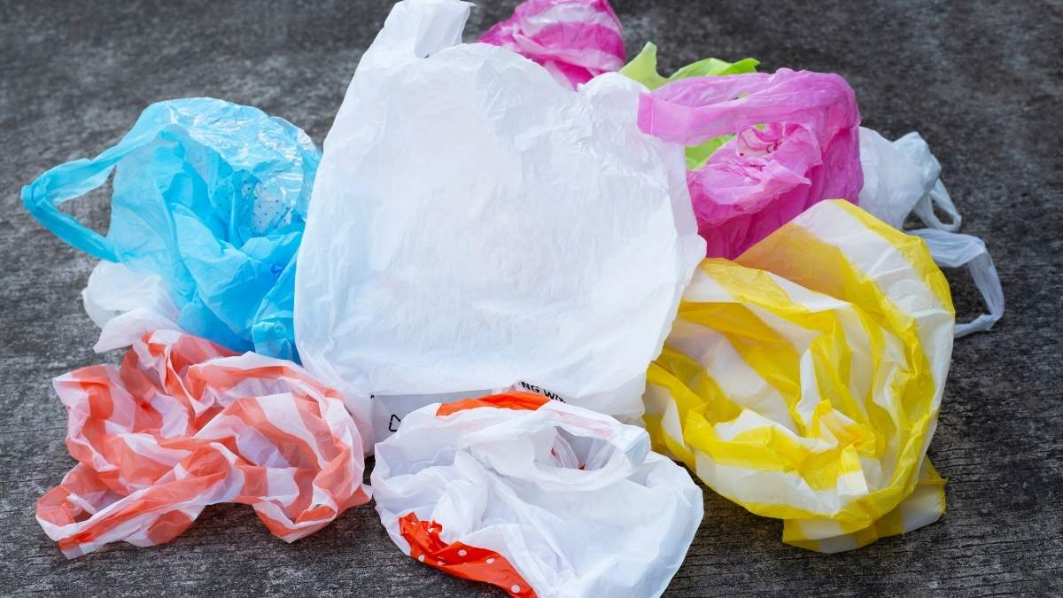 Una bolsa plástica entre los orgánicos puede arruinar un lote completo de compost 5 Una bolsa plastica entre los organicos puede arruinar un lote completo de compost